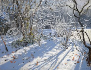 Hoar Frost, 2011