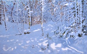 November Snow, Allestree Woods, Derby