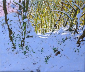 Path through the Woods in Winter, Derbyshire