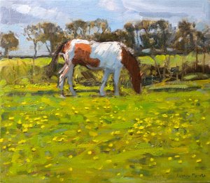 Piebald Horse