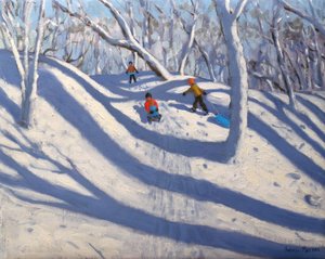 Winter, Bramcote, Nottingham, 2009 by Andrew Macara