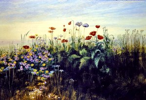 Wild Flowers by Andrew Nicholl
