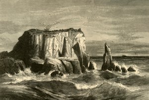 Coast Scene, Marin County, 1872