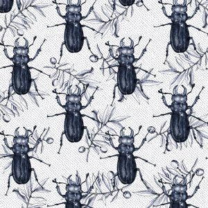Stag Beetles, 2017