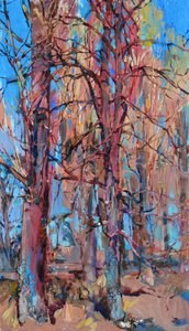 Colorful Forest Trees