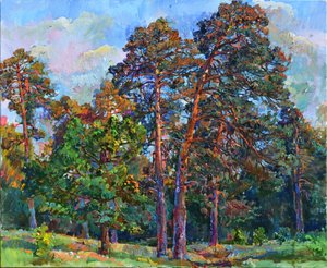 Sunlit Pine Trees by Andrii Kutsachenko