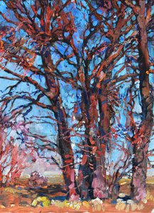 Vibrant Autumn Trees