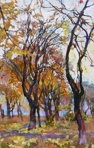 Vibrant Autumn Woods by Andrii Kutsachenko