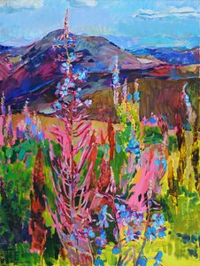 Vibrant Mountain Flowers
