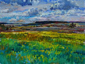 Vibrant Summer Fields