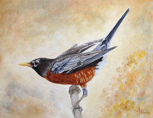 American Robin Perched by Angeles M. Pomata
