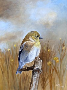 Autumn Finch Perch