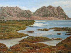 Autumn Mountain Wetlands