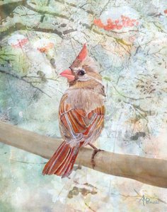 Calm Winter Cardinal by Angeles M. Pomata