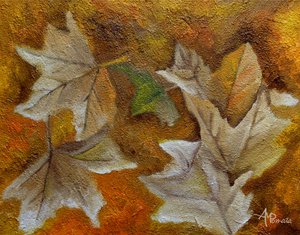 Fallen Autumn Leaves