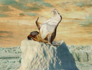 Greetings From the Arctic by Angeles M. Pomata