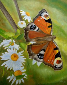 Peacock Butterfly Daisies by Angeles M. Pomata