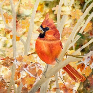 Red Cardinal Autumn Leaves by Angeles M. Pomata