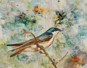 Serene Tree Swallow