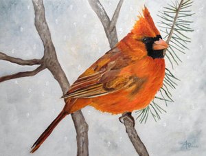 Snowy Red Cardinal by Angeles M. Pomata