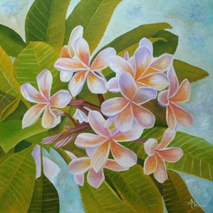 Soft Plumeria Blooms by Angeles M. Pomata