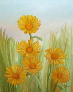 Sunny Yellow Meadow