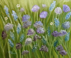 Wildflower Meadow Blooms