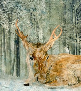 Winter Forest Deer
