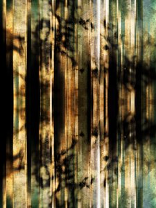 Abstract Forest Shadows by Angelo Cerantola