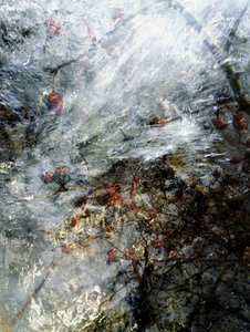 Frozen Red Berries by Angelo Cerantola