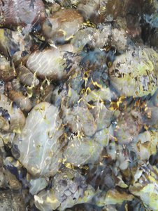 Pebbles In Clear Water by Angelo Cerantola