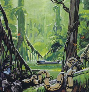 Exploring the River Amazon