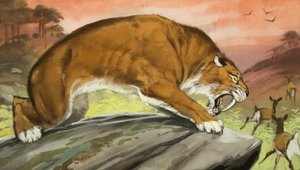 Sabre-toothed Tiger Out Hunting