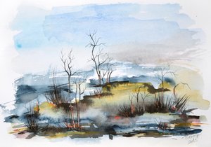 Misty Autumn Wetland by Aniko Hencz