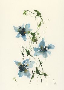 Watercolor Blue Flowers