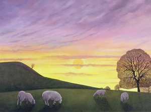 Barratts Hill, 2004