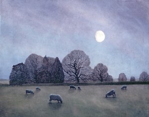 Moonlit Night