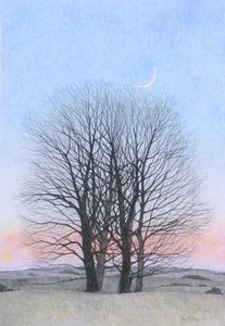 New Moon, 2011