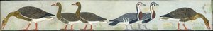 Copy of wall painting from Mastaba of Itet, Medum IV, 93-94 geese, 20th century by Anna