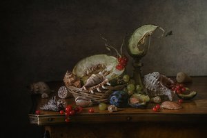 Vintage Fruit and Shells by Anna Petina