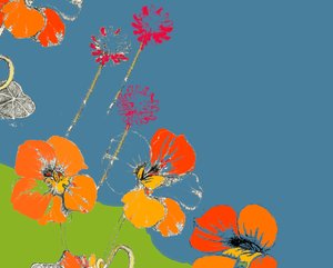 Nasturtium