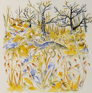 Fox in the Wood, 2023