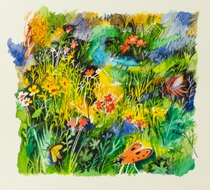 Meadow Bugs, 2023
