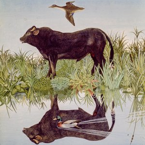 Reflecting, 2004