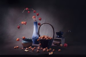 Autumn Lanterns Harvest by Anna Qu