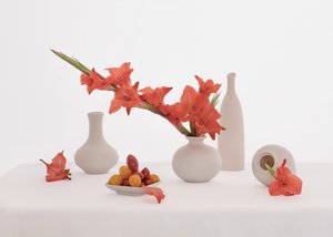 Orange Gladiolus Still Life by Anna Qu