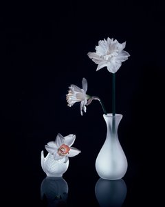 White Daffodils Still Life by Anna Qu