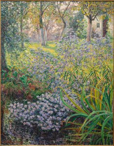 Flowers in the Garden