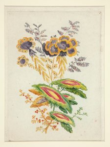 Fantastic Flowers, from New Suite of Notebooks of Ideal Flowers for the Use of Designers and Painters by Anne Allen