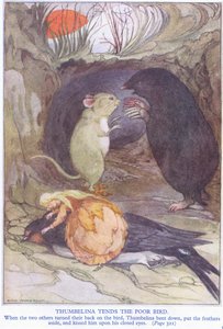 Thumbelina tends the poor bird by Anne Anderson